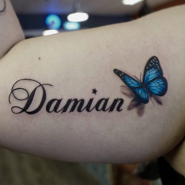 Damian vlinder