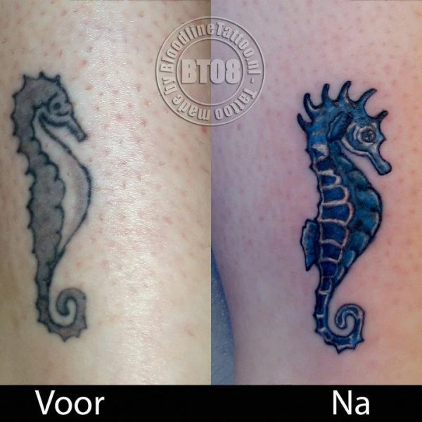cover seahorse by Bram@bloodlineTattoo.nl